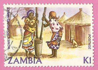 1981 ZAMBIA GRINDING CORN