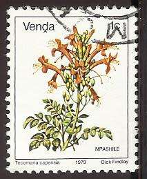 1979 VENDA FLOWER