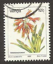 1985 VENDA FLOWER