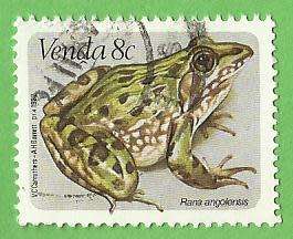 1982 VENDA ANIMAL FROG