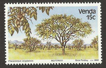 1982 VENDA TREES