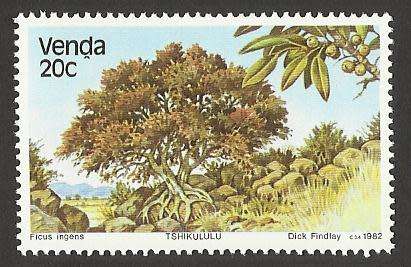 1982 VENDA TREES