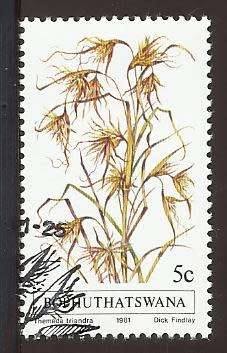 1981 BOPHUTHATSWANA GRASS