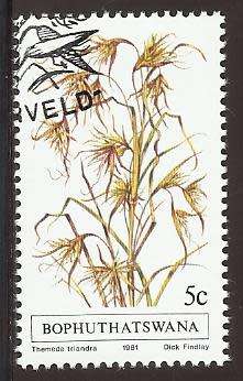 1981 BOPHUTHATSWANA GRASS