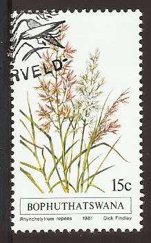 1981 BOPHUTHATSWANA GRASS