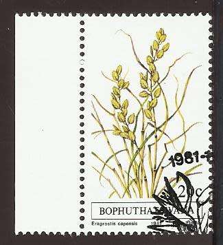 1981 BOPHUTHATSWANA GRASS