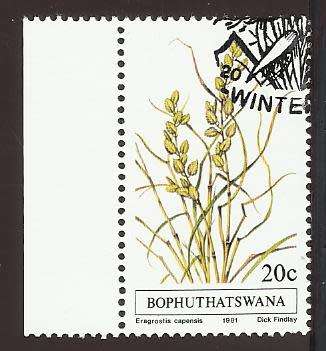 1981 BOPHUTHATSWANA GRASS