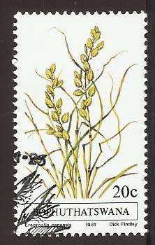 1981 BOPHUTHATSWANA GRASS
