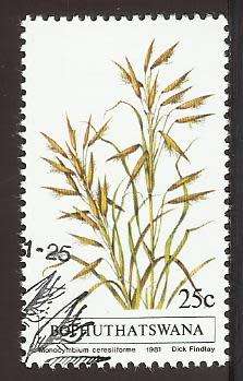 1981 BOPHUTHATSWANA GRASS