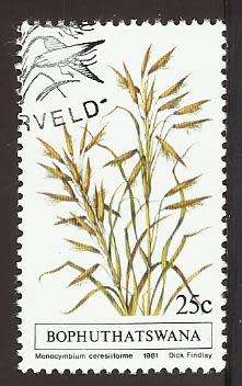 1981 BOPHUTHATSWANA GRASS
