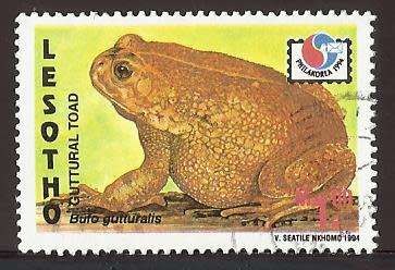 1994 LESOTHO ANIMAL FROG