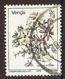 1979 VENDA FLOWER