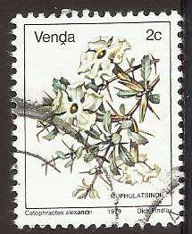 1979 VENDA FLOWER