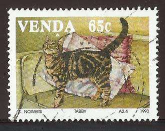 1993 VENDA DOMESTIC CATS