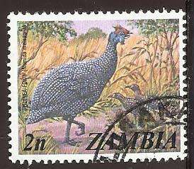 1975 ZAMBIA ANIMAL GUINEA FOWL