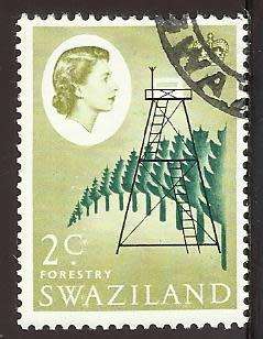 1962 SWAZILAND FORESTRY