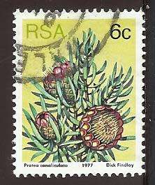 1977 SOUTH AFRICA FLORA, PROTEA PLANTS