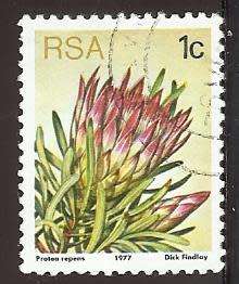 1977 SOUTH AFRICA FLORA, PROTEA PLANTS
