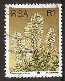1977 SOUTH AFRICA FLORA, PROTEA PLANTS