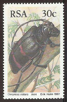 1987 SOUTH AFRICA BEETLES