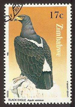 1984 ZIMBABWE BIRD OF PREY