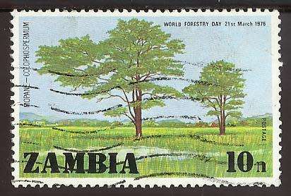 1976 ZAMBIA TREE