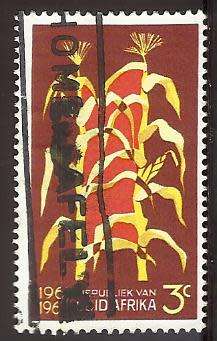 1966 SOUTH AFRICA ANNIVERSARY