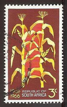 1966 SOUTH AFRICA ANNIVERSARY