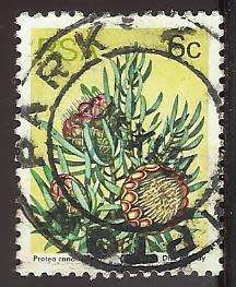 1977 SOUTH AFRICA FLORA, PROTEA PLANTS