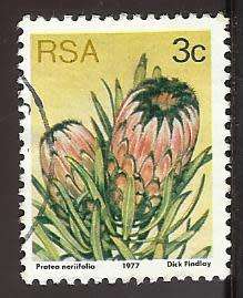 1977 SOUTH AFRICA FLORA, PROTEA PLANTS