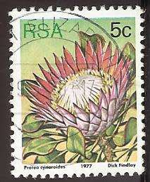1977 SOUTH AFRICA FLORA, PROTEA PLANTS