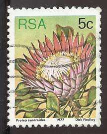 1977 SOUTH AFRICA FLORA, PROTEA PLANTS