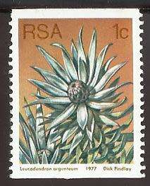 1977 SOUTH AFRICA FLORA, PROTEA PLANTS