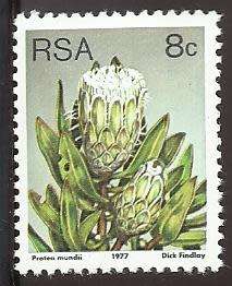 1977 SOUTH AFRICA FLORA, PROTEA PLANTS