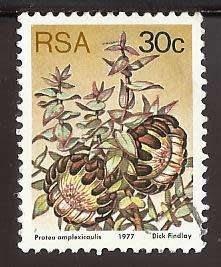 1977 SOUTH AFRICA FLORA, PROTEA PLANTS