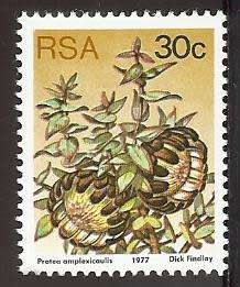 1977 SOUTH AFRICA FLORA, PROTEA PLANTS