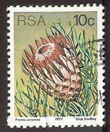 1977 SOUTH AFRICA FLORA, PROTEA PLANTS