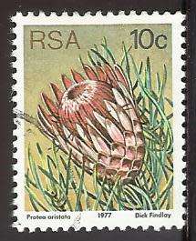 1977 SOUTH AFRICA FLORA, PROTEA PLANTS