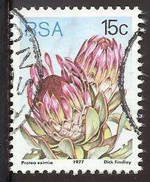 1977 SOUTH AFRICA FLORA, PROTEA PLANTS