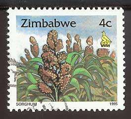 1995 ZIMBABWE CULTURE