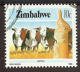 1985 ZIMBABWE NATIONAL INFRASTRUCTURE