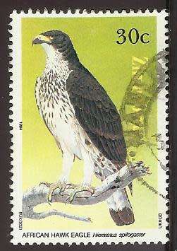 1984 ZIMBABWE BIRD OF PREY