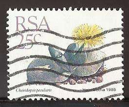 1988 SOUTH AFRICA SUCCULENTS