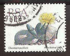 1988 SOUTH AFRICA SUCCULENTS