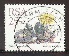 1988 SOUTH AFRICA SUCCULENTS