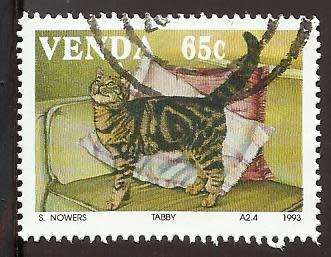 1993 VENDA DOMESTIC CATS
