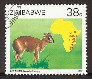 1987 ZIMBABWE DUIKERS OF AFRICA SURVEY