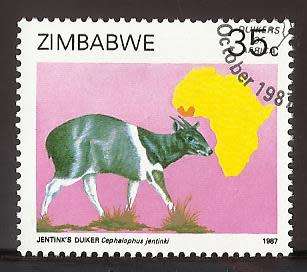 1987 ZIMBABWE DUIKERS OF AFRICA SURVEY