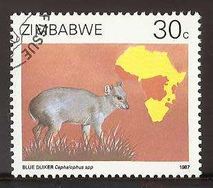 1987 ZIMBABWE DUIKERS OF AFRICA SURVEY