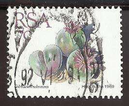 1988 SOUTH AFRICA SUCCULENTS